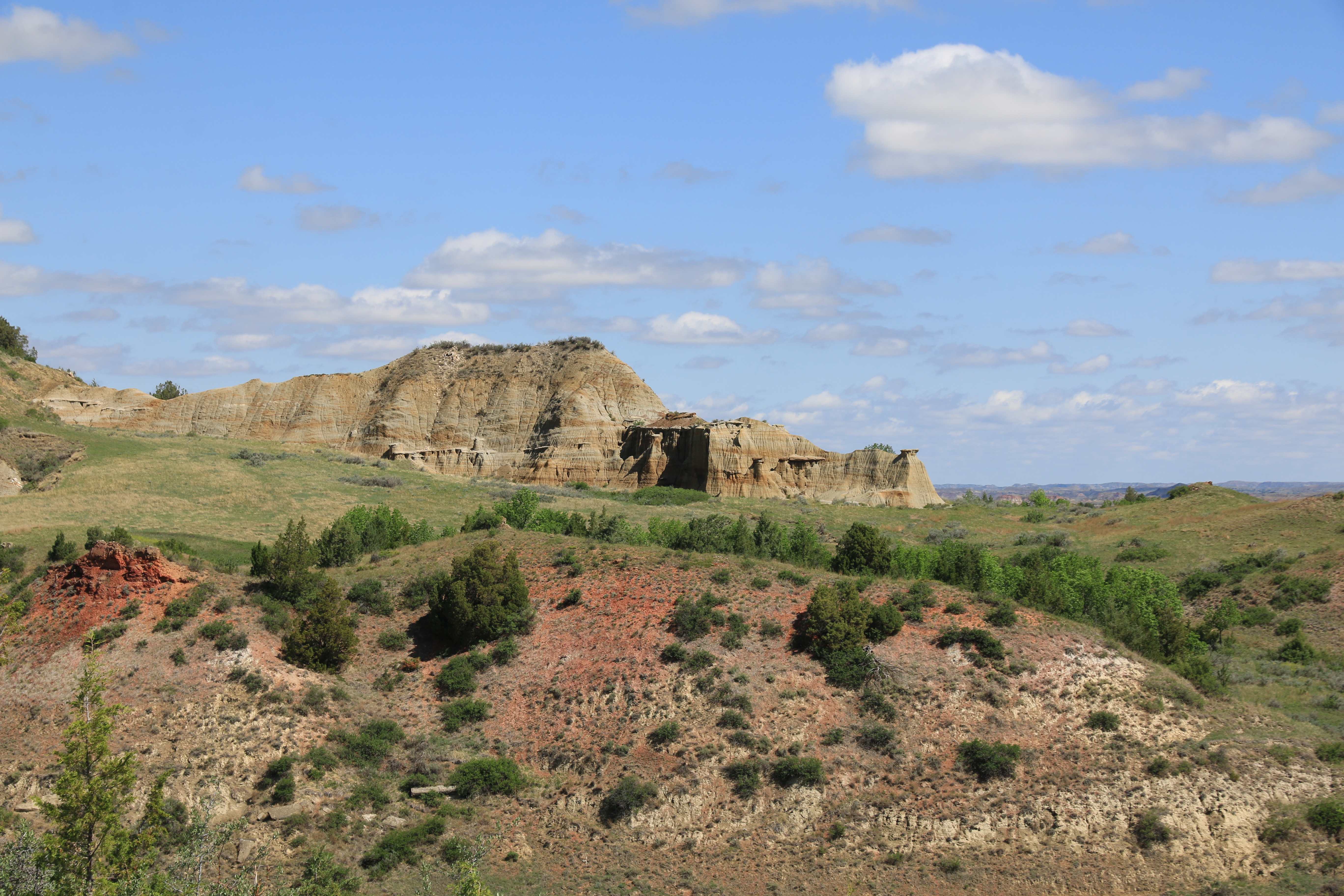 Theodore Roosevelt NP